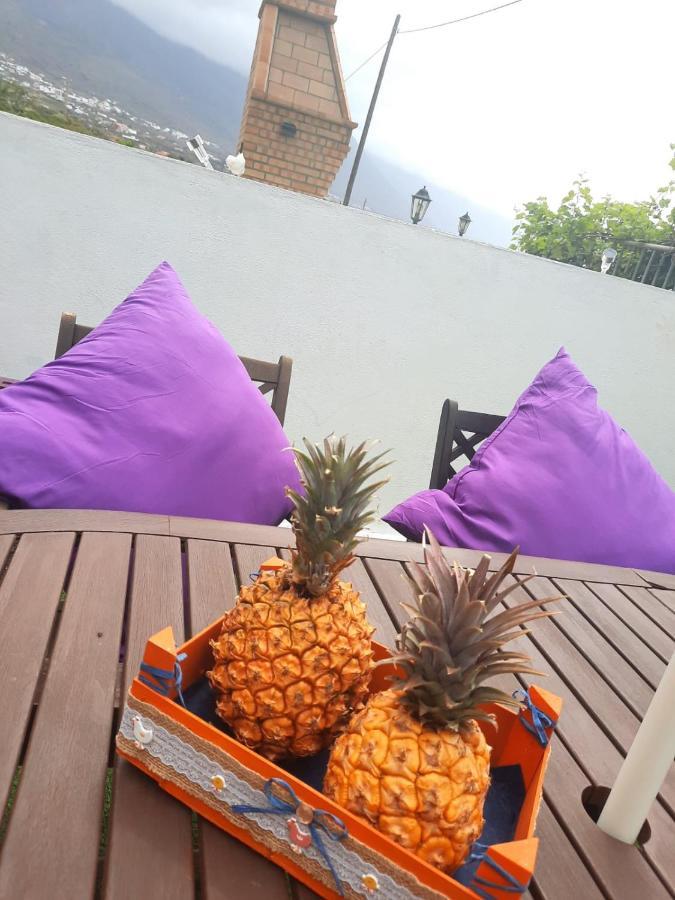 Mi Cumanesa Holiday home
